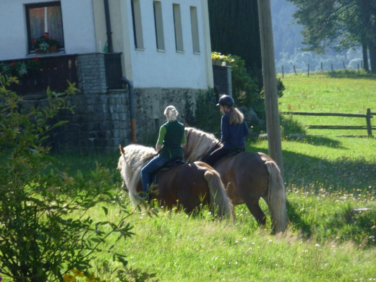 Villa Urlaub Auf Dem Haberlhof à Lohberg Extérieur photo